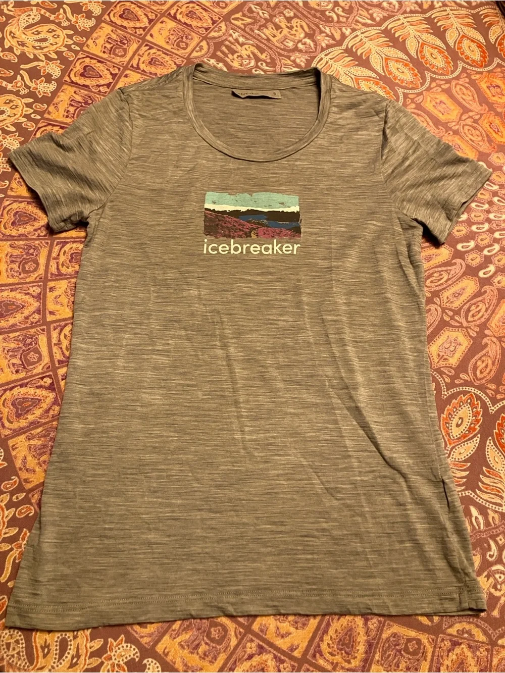 Icebreaker Gray Tech Lite Trailhead Graphic Tee - Picture 3 of 5